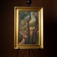 Fawn in the Woods by Jill Hooper