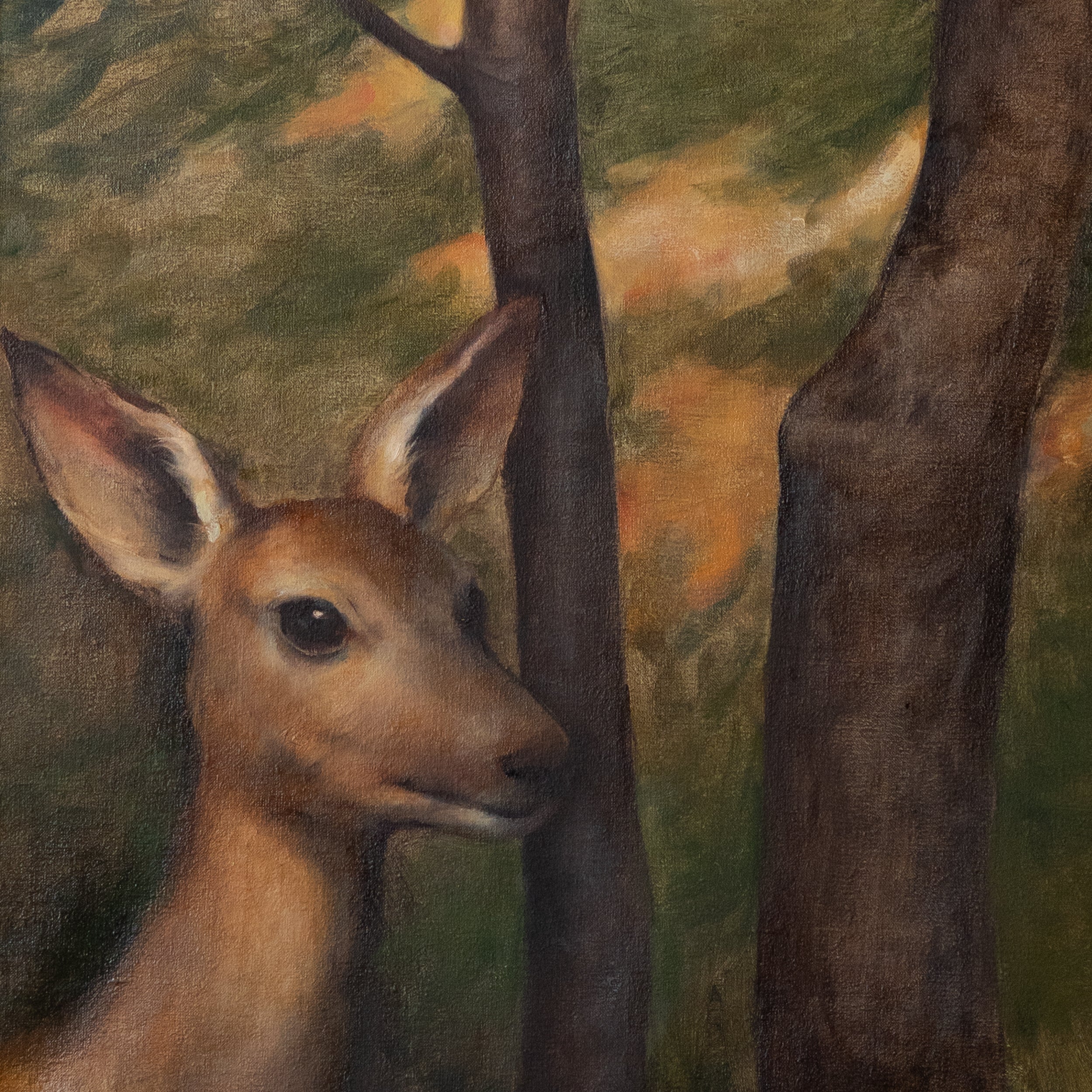 Fawn in the Woods by Jill Hooper