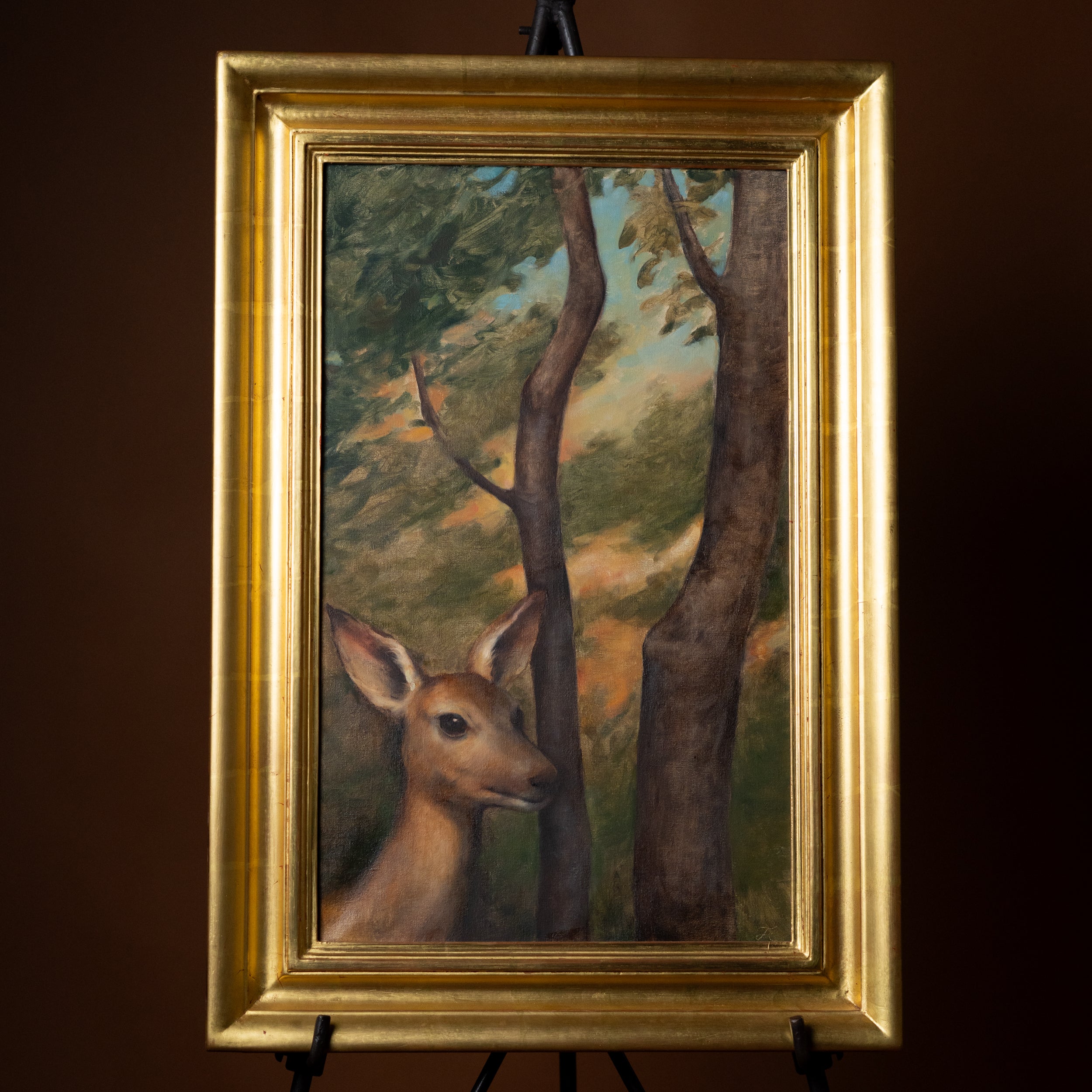 Fawn in the Woods by Jill Hooper