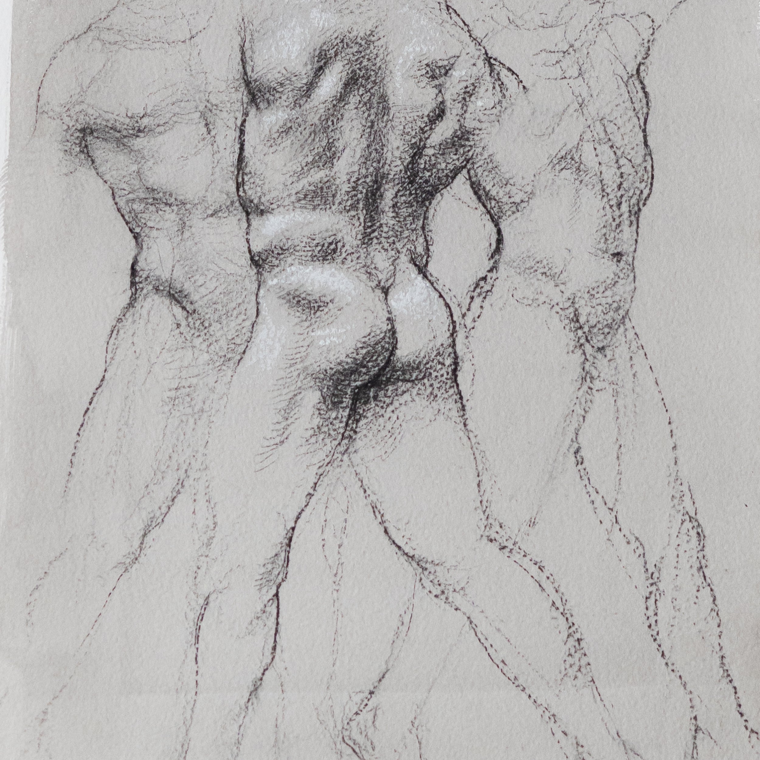 Academic Male in Reflections by Jill Hooper