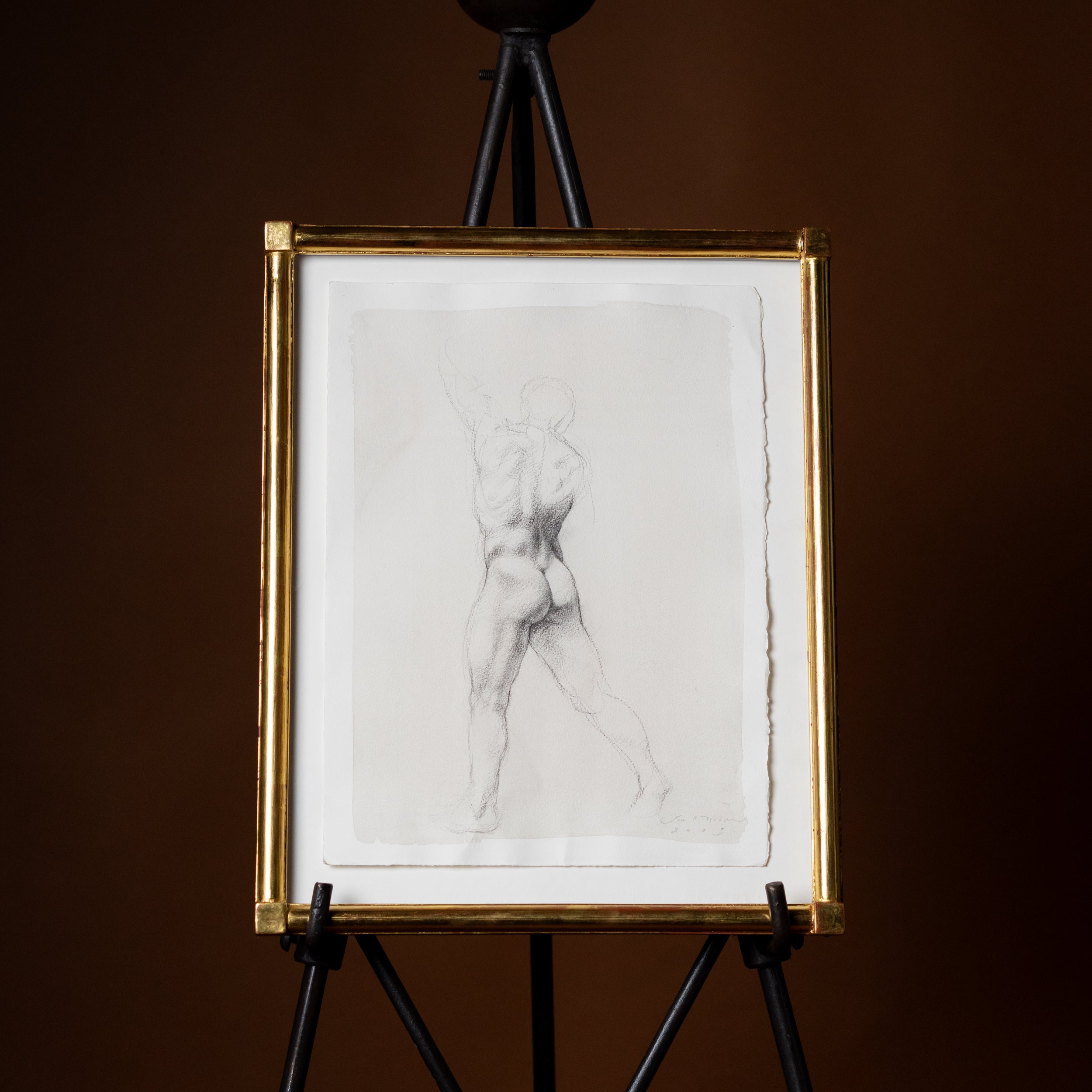 Academic Male Nude I by Jill Hooper