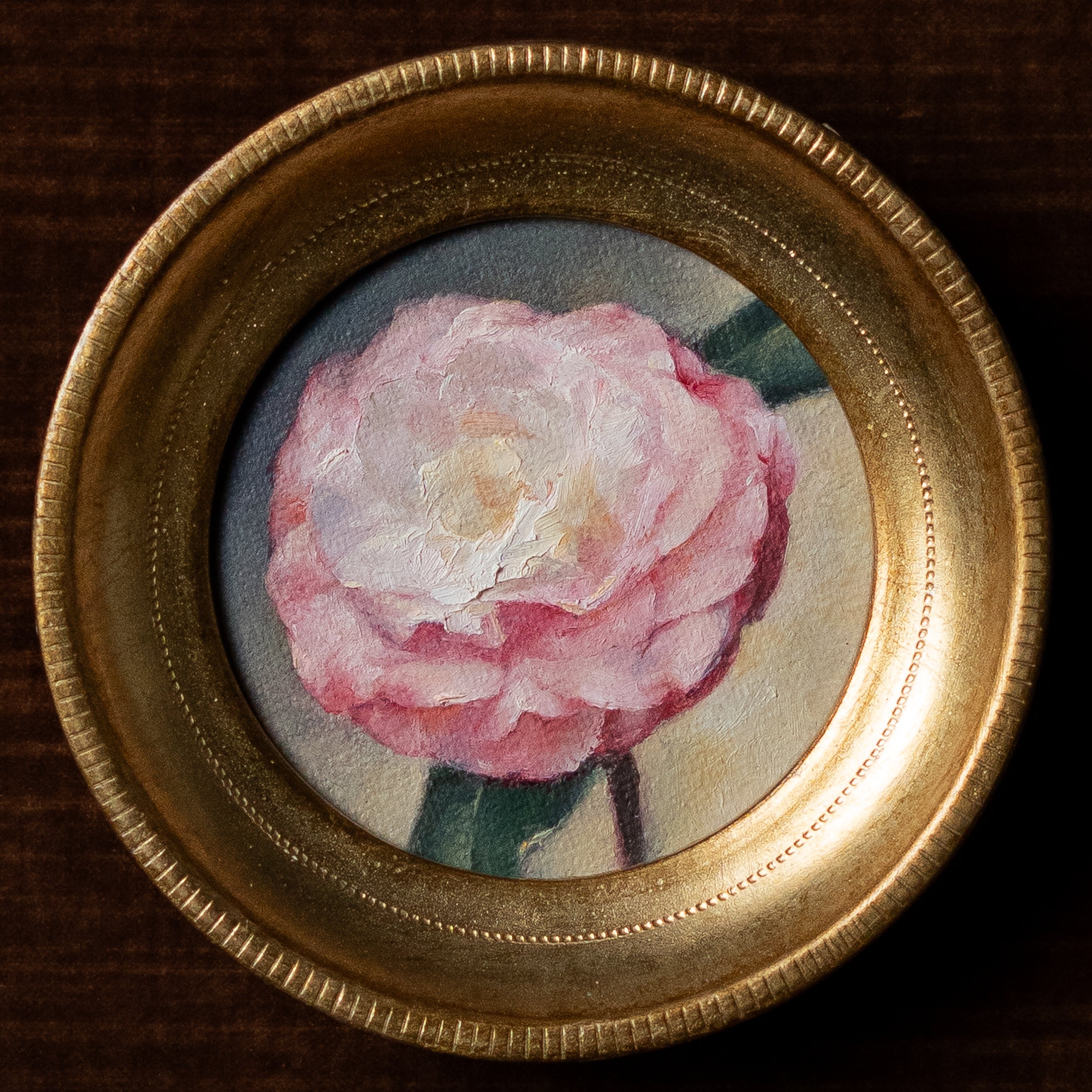 Camellia Japonica by Jill Hooper