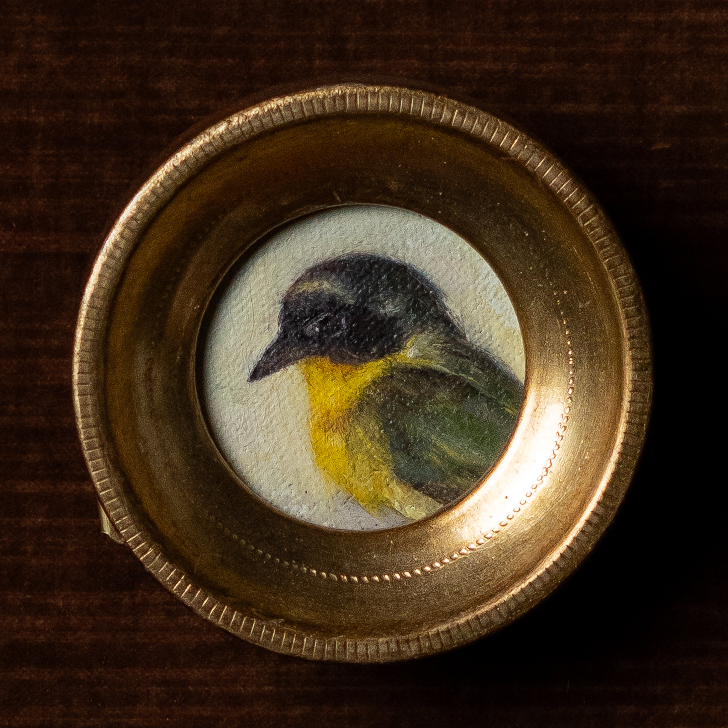 Yellow Throated Warbler by Jill Hooper