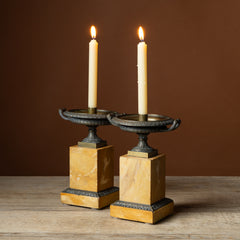 Pair of 19th C. Bronze & Marble Tazzas