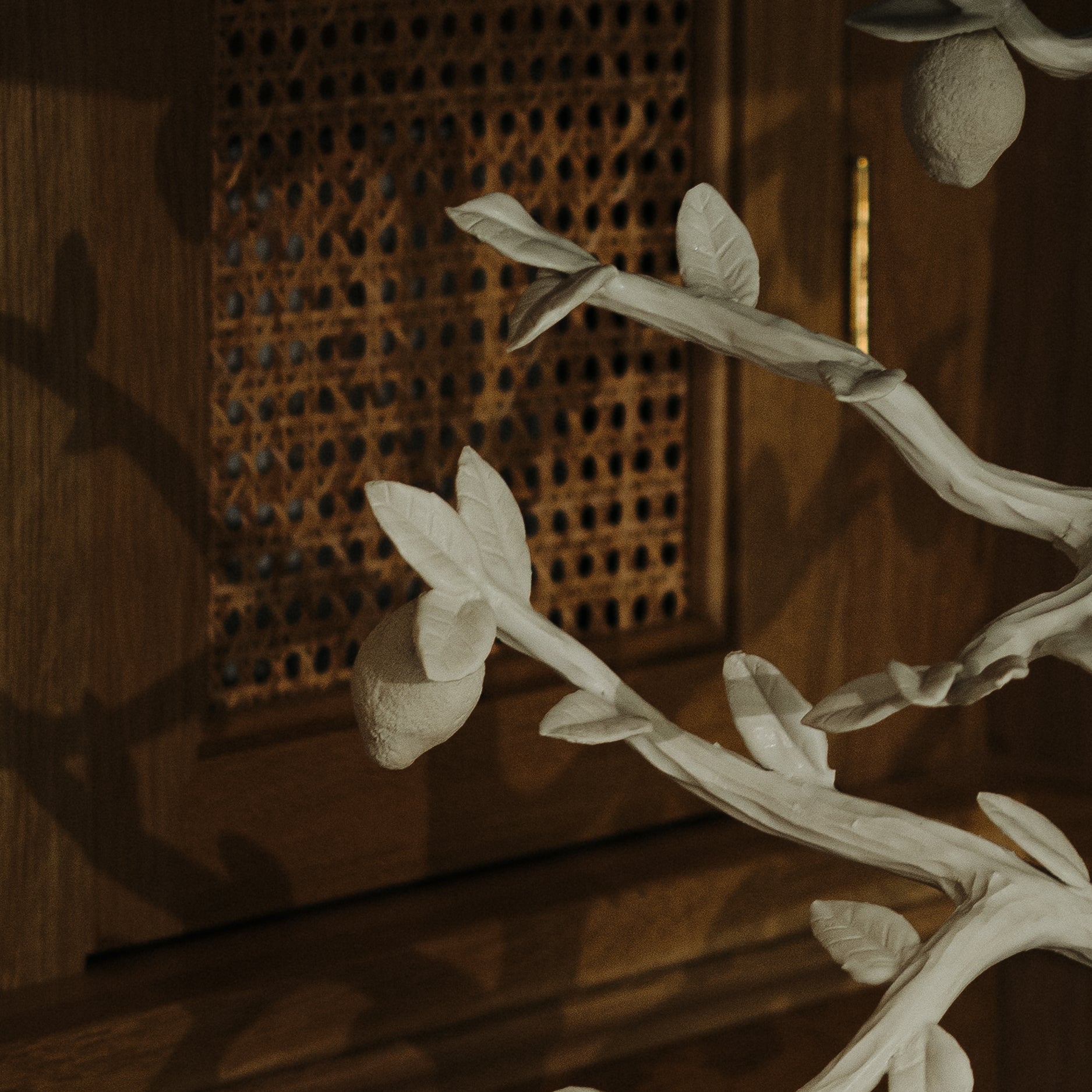 Le Citron Table Lamp