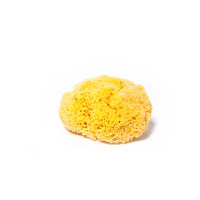 Yellow Sea Sponge Cuts: Large 7” to 8”