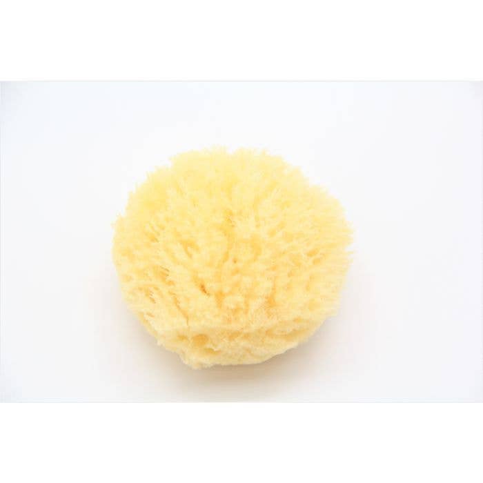 Grass Sea Sponge: Small 3” to 5”
